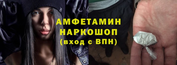 хмурый Абаза