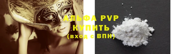 хмурый Абаза