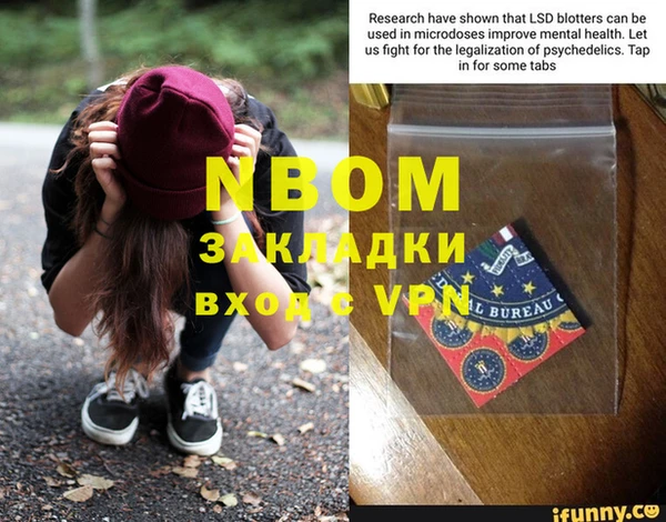 хмурый Абаза