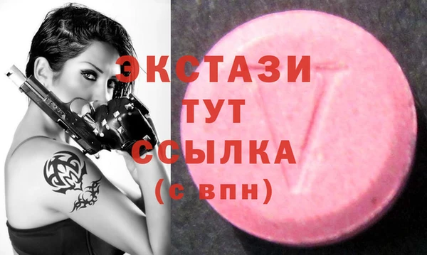 хмурый Абаза