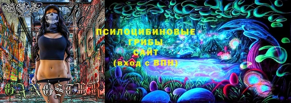 хмурый Абаза