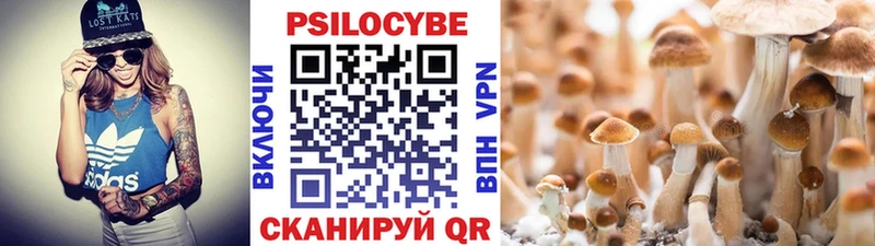 Псилоцибиновые грибы прущие грибы  omg tor  Урус-Мартан 